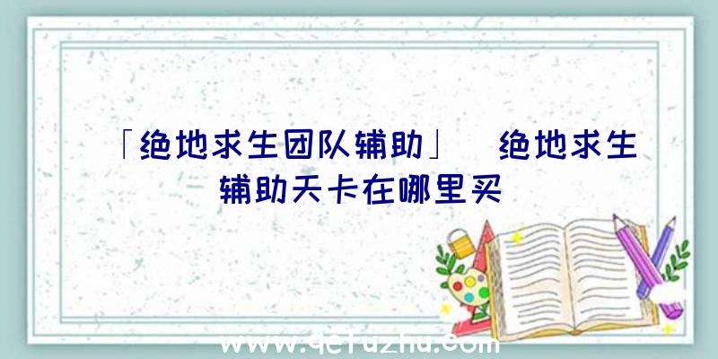 「绝地求生团队辅助」|绝地求生辅助天卡在哪里买